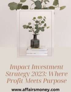 Impact Investment Strategy 2023